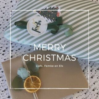 ✨FIJNE FEESTEN✨
.
Wishing you all a Merry Christmas! 🎄
Liefs, 
Femke & Els
.
#feelslikechristmas #merrychristmas #bestwishes #teamfeels